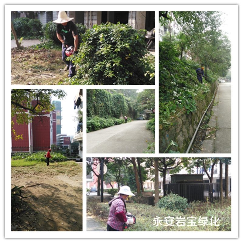 pictitle 图片不存在